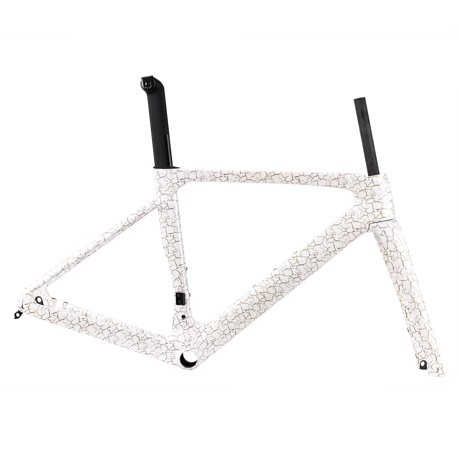 Custom Painting Carbon Road Disc Brake Frame With UCI Test