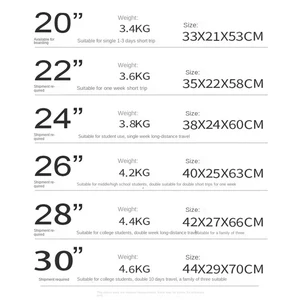 Neuer Aluminiumkoffer mit großer Kapazitätsstruktur, Koffer auf Rädern, 22.20.24.26.20 11 Hauptverkaufswagen zurück - №11