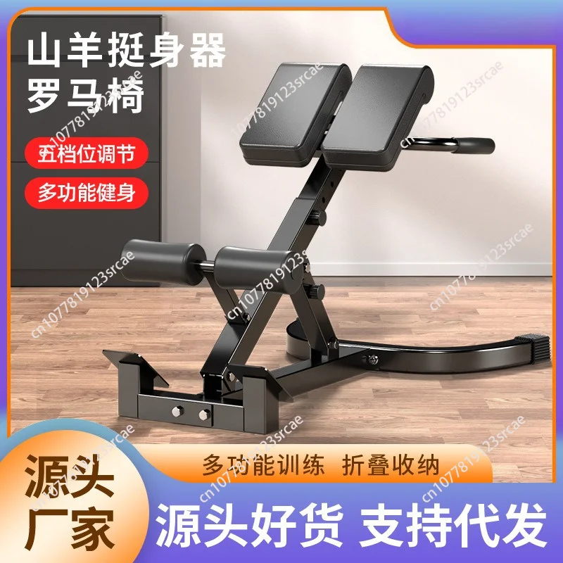 Best-Selling Indoor Fitness Equipment Adjustable Roman Chair & Dumbbell Bench from Manufacturers for Bodybuilding Waist Training