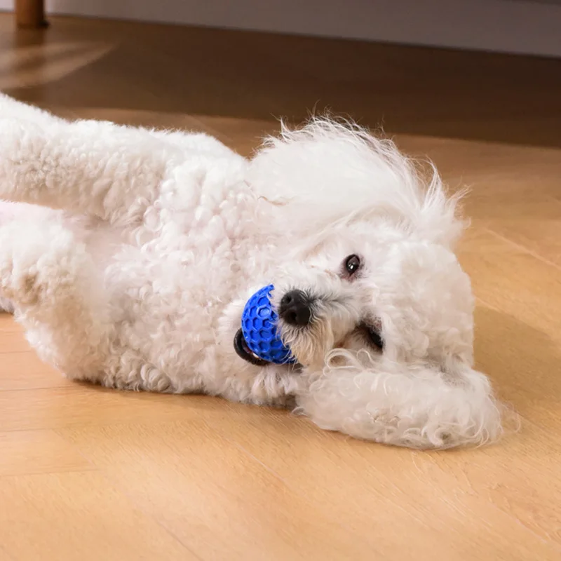 Thumbnail 3 - #37 Top 50 Dog Balls Worth Buying In 2026