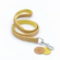 1.2M yellow leash