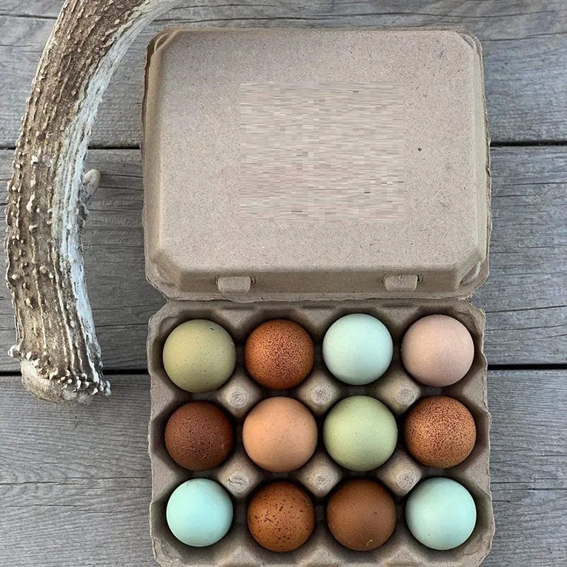 Vintage Blank Egg Cartons- Classic 3X4 Style Holds 12 Large Eggs, Sturdy Design Made From Recycled Egg Box