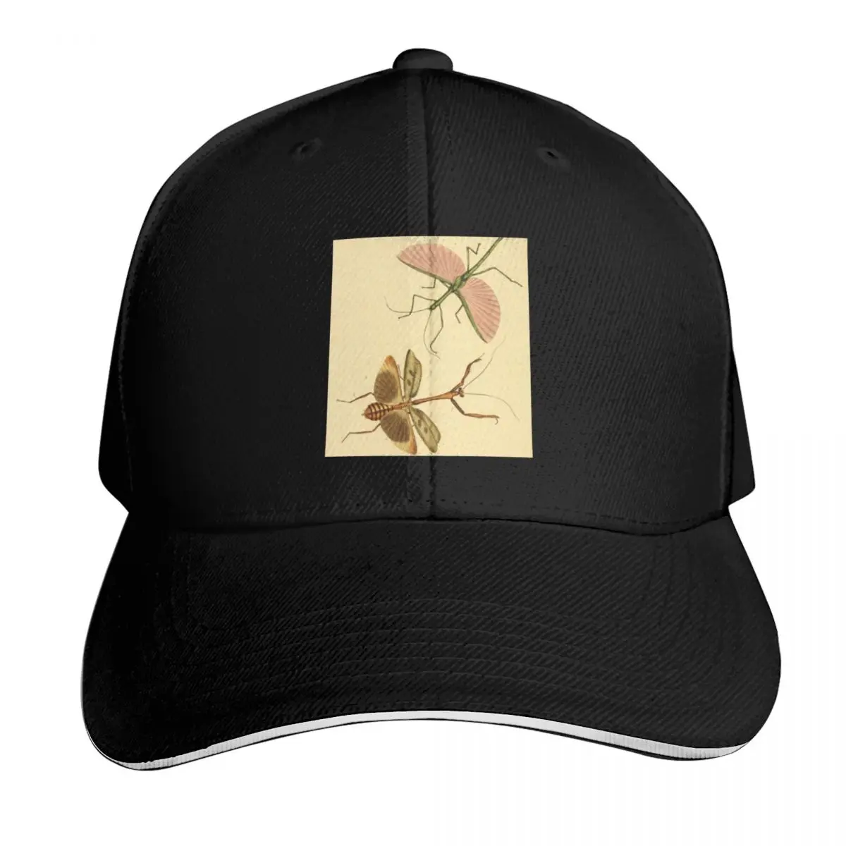 Naturalist Stick Insects Baseball Cap Streetwear Hip Hop Trendy Vintage Retro Embroidered Lightweight Packable
