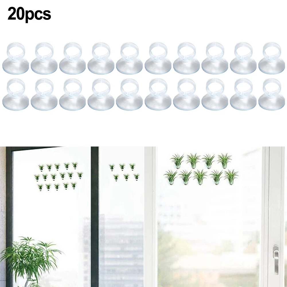 20 Pcs Air Plant Mounting Holder for Tillandsia with Reusable Suction Cup for Windows Glass Aquariums and Smooth Surfaces