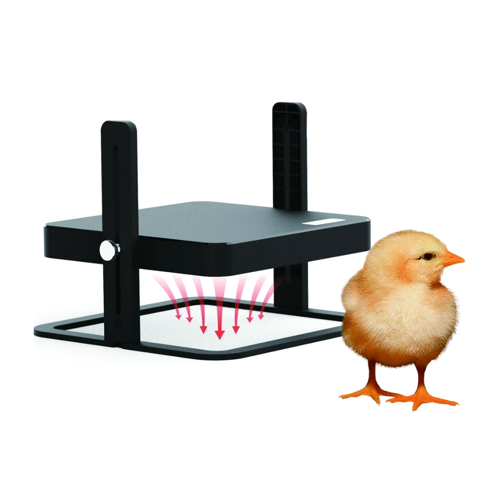 Design on Overhead Baby Bird Brooder Heat Plates Commercial Chick Brooder