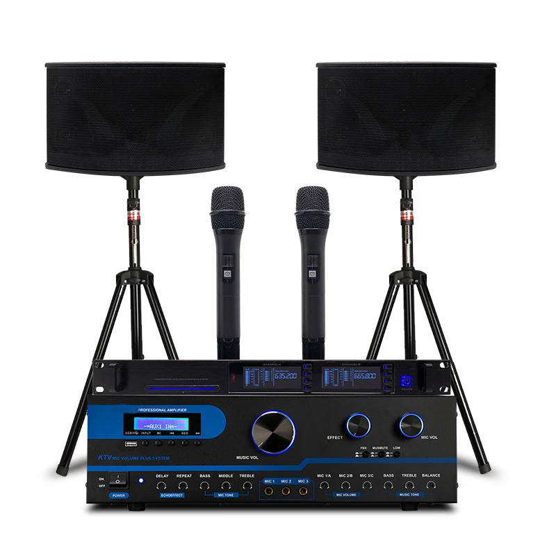Professional KTV Sound Commercial Karaoke System Whole Set with 10 Inch Stage Speaker for Music Enthusiasts