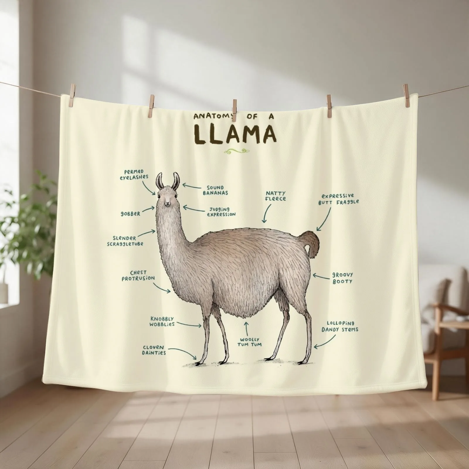 Anatomy of a Llama Throw Blanket couch cozy soft plush fuzzy picnic outdoor blanket