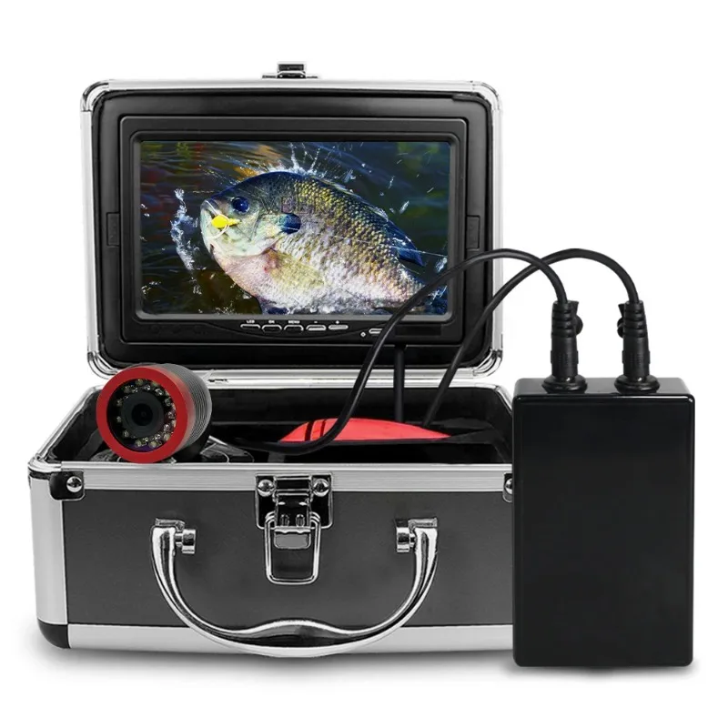 anchor fish  underwater camera video