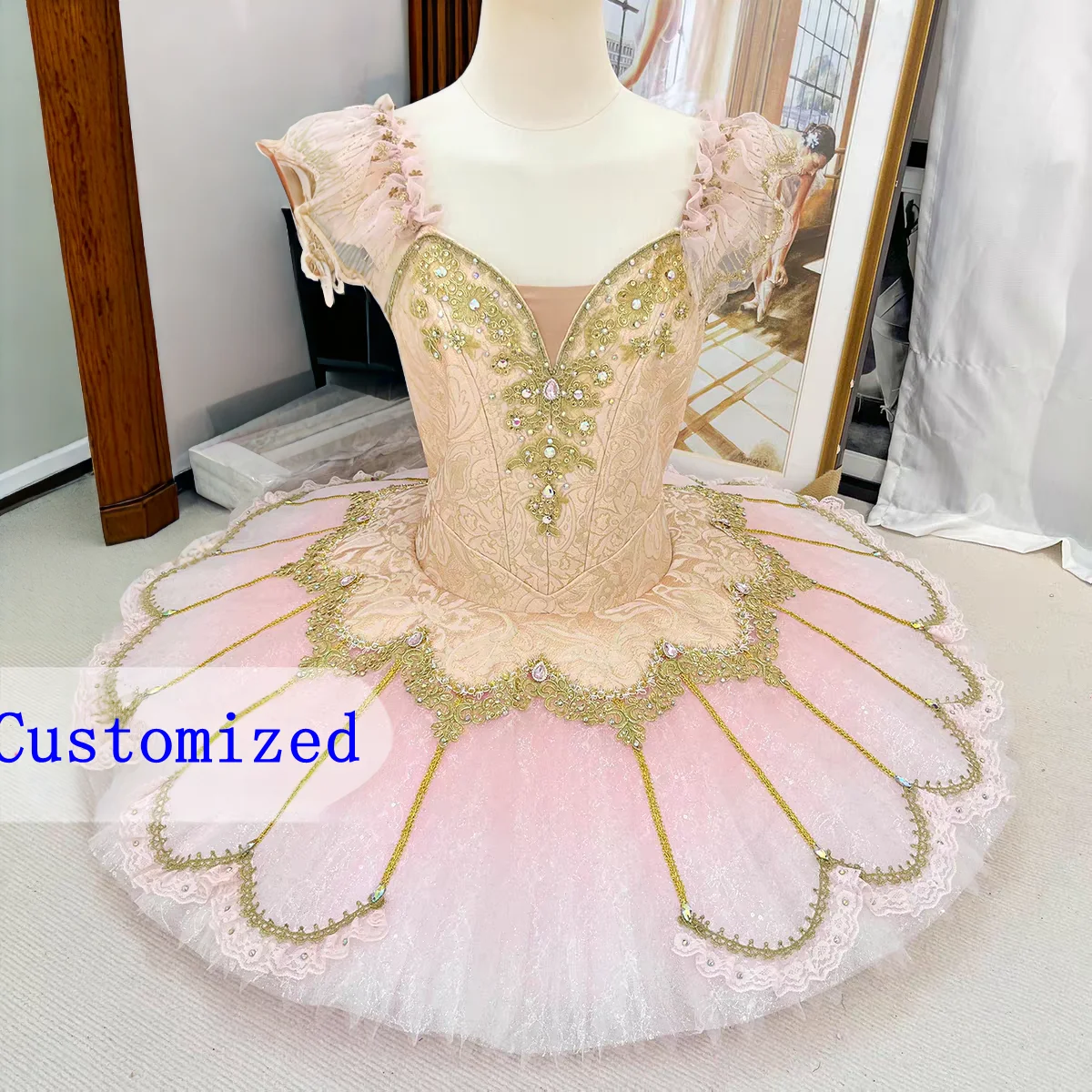 

Customized Bluebird Ballet Skirt Silver Fairy Sleeping Beauty Ballet Skirt Esmeralda Performance Dress Tutu