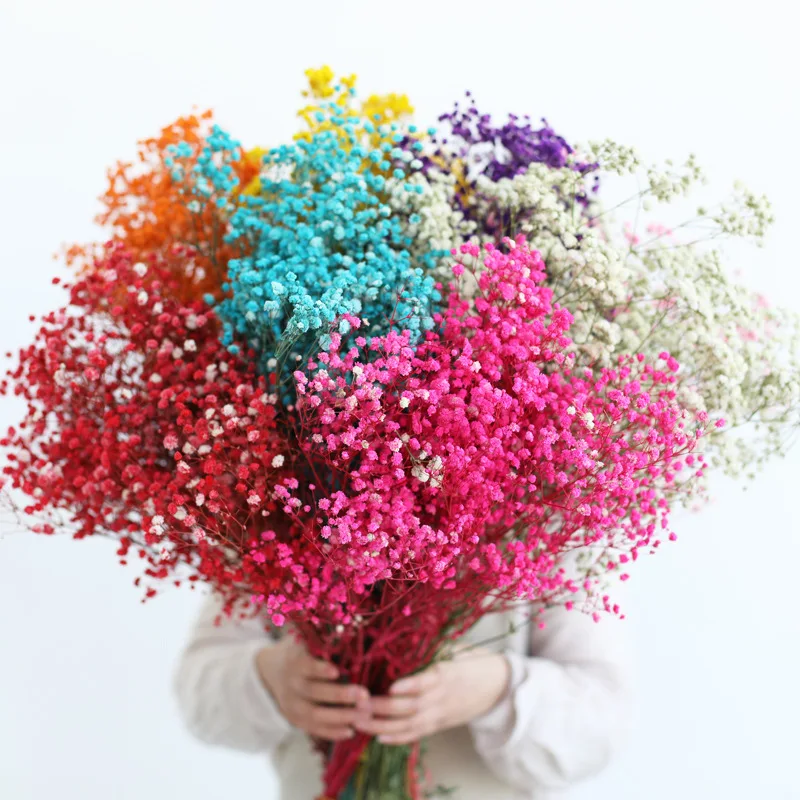 

Gypsophile Decorations for Home Natural Flowers Wedding Bouquet Bouquets of Natural Preserved Flowers Dried Decoration Christmas