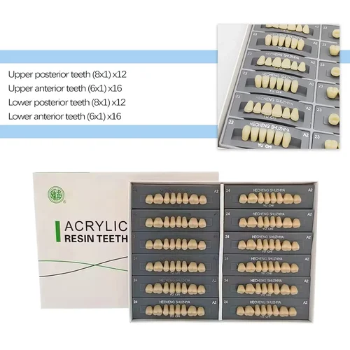 Imagen 2 del producto 96 unids/caja Dental de resina sintética, dientes multicapa de Color, modelo educativo Posterior anterior, reparación acrílica de diente temporal falso