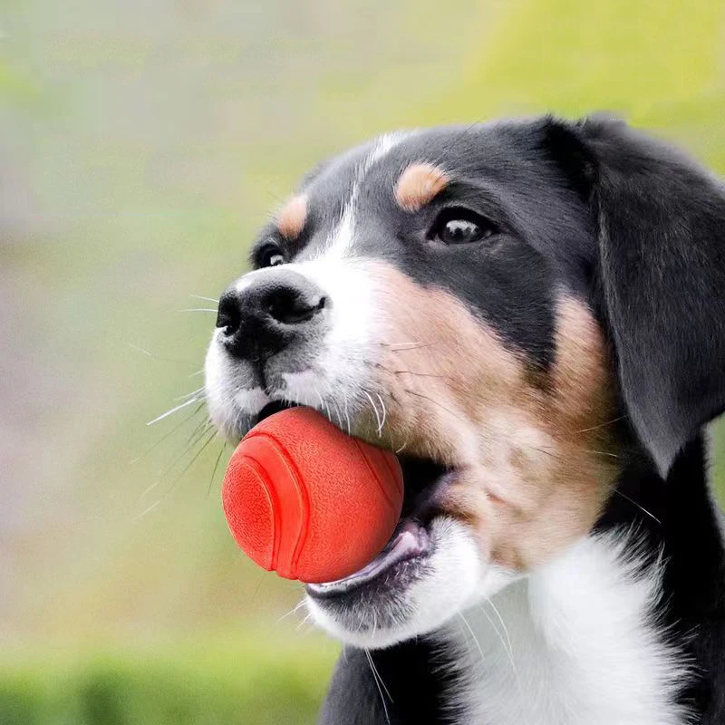 Pelota de juguete Molar para perros, pelota de goma sólida Indestructible, resistente a las mordeduras, entrenamiento interactivo para perros