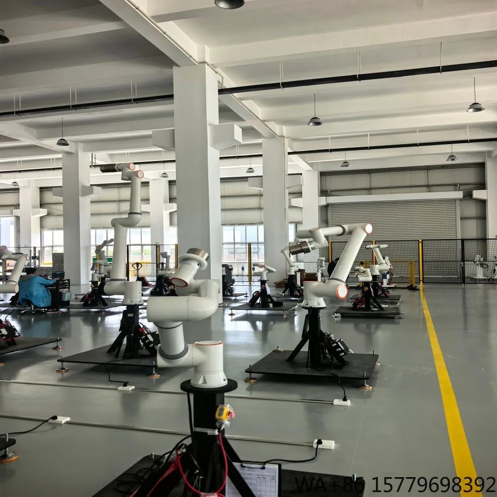 Industrial Robot Palletizer 6 Axis Cobot Robotic Arm for Food Packaging Logistics Stamping Automotive Factory Automation