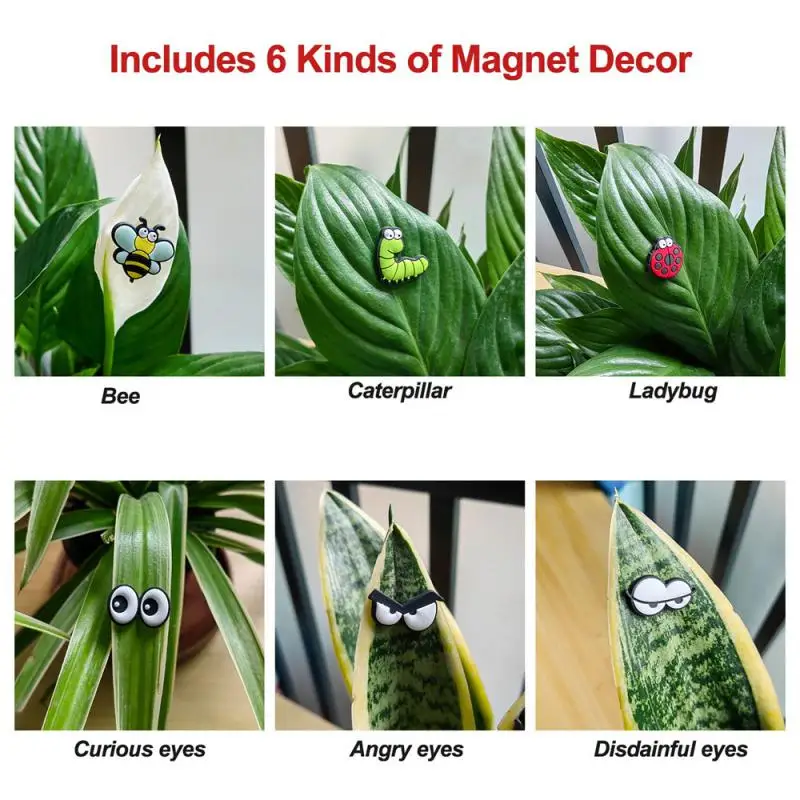 Magnete regalo unico occhi materiale impermeabile sicurezza semplice e durevole decorazione magnetica leggera piante adorabili. Insetto oculare