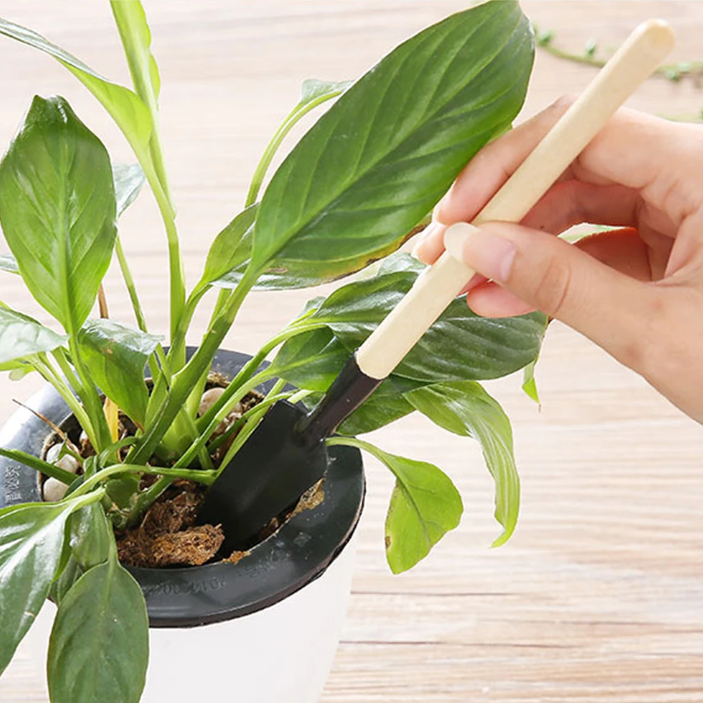 3 قطعة مجرفة صغيرة مرحبا أشعل النار مجموعة أداة حديقة صغيرة بونساي أداة مجموعة مقبض خشبي رئيس معدني مجرفة المجرف للزهور بوعاء النبات