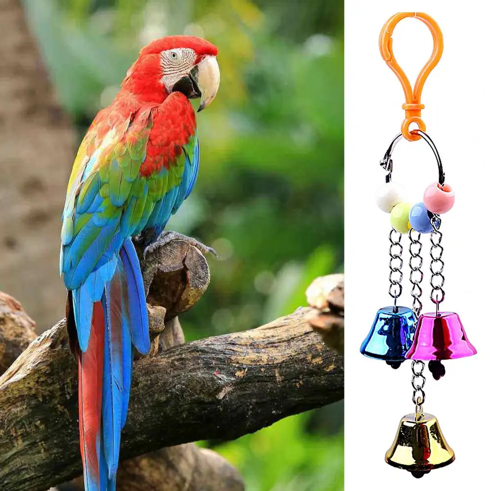 Durable Quickly Disassemble Scratch-resistant Bright Colors Hanging Parrot Scratching Toy Bird Chain Toy Grinding Mouth