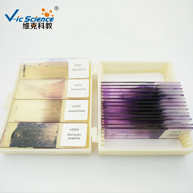 18pcs Hematology (glass blood smear prepared slides) for teaching purposes