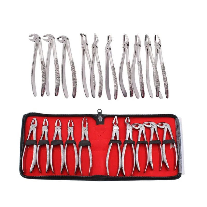 10pcs/set Stainless Steel Dental Extraction Forceps Pliers kit Dental Elevator Tooth Extraction Forcep Pliers Kit for Adults