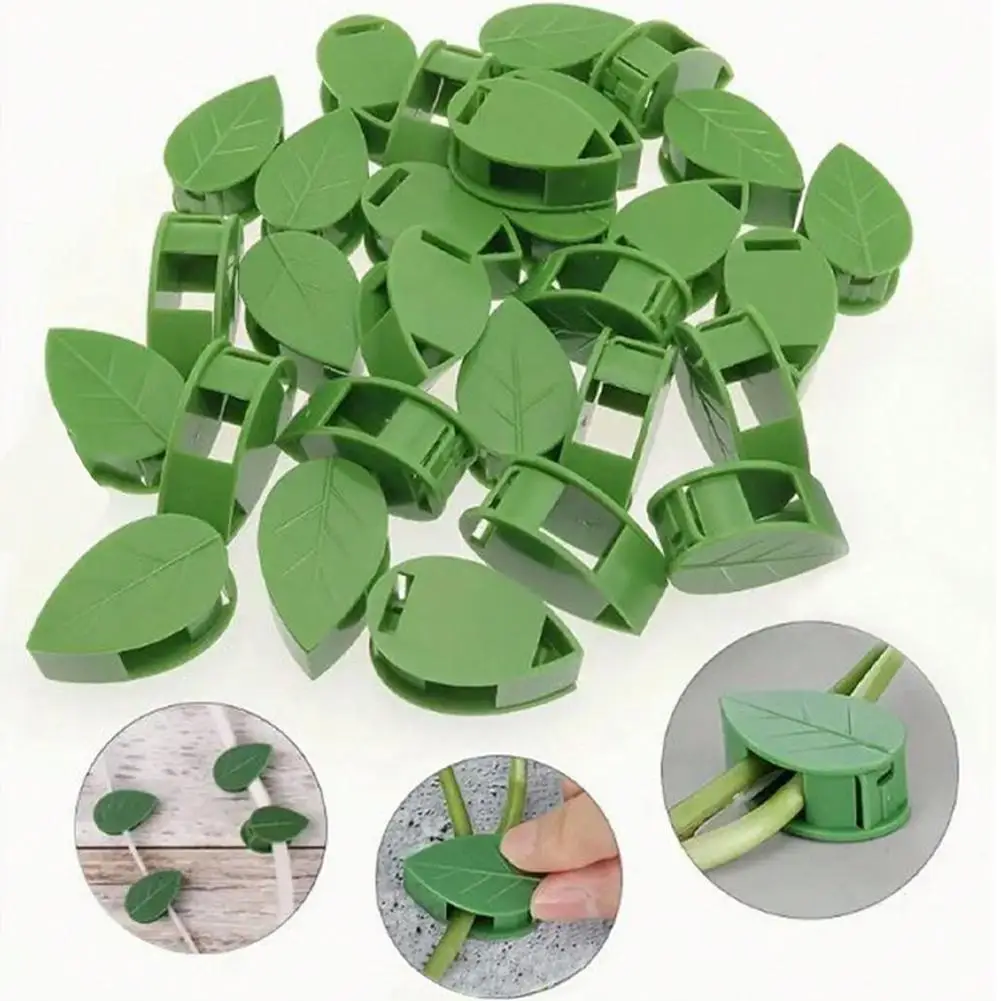 10/50Pcs Invisible Plant Climbing Wall Fixture Clips, Self-Adhesive Vine Fixer Hooks, Garden Plant Traction Binding Clips Garden