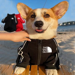 Autumn and winter new pet clothes dog zipper hoodie Big dog coat small and medium-sized dog out clothing cat clothes