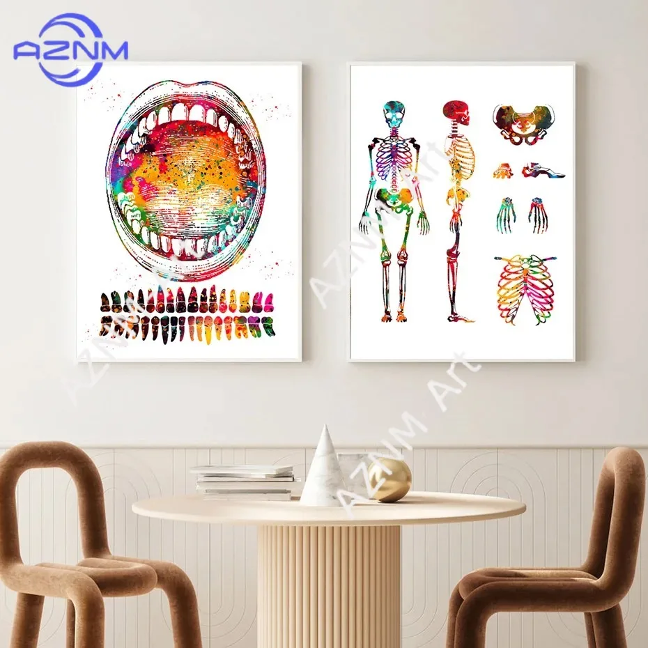 Anatomical Muscle Medical Education Office Minimalist Wall Art Print Canvas Painting Posters for Living Room Modern Home Decor