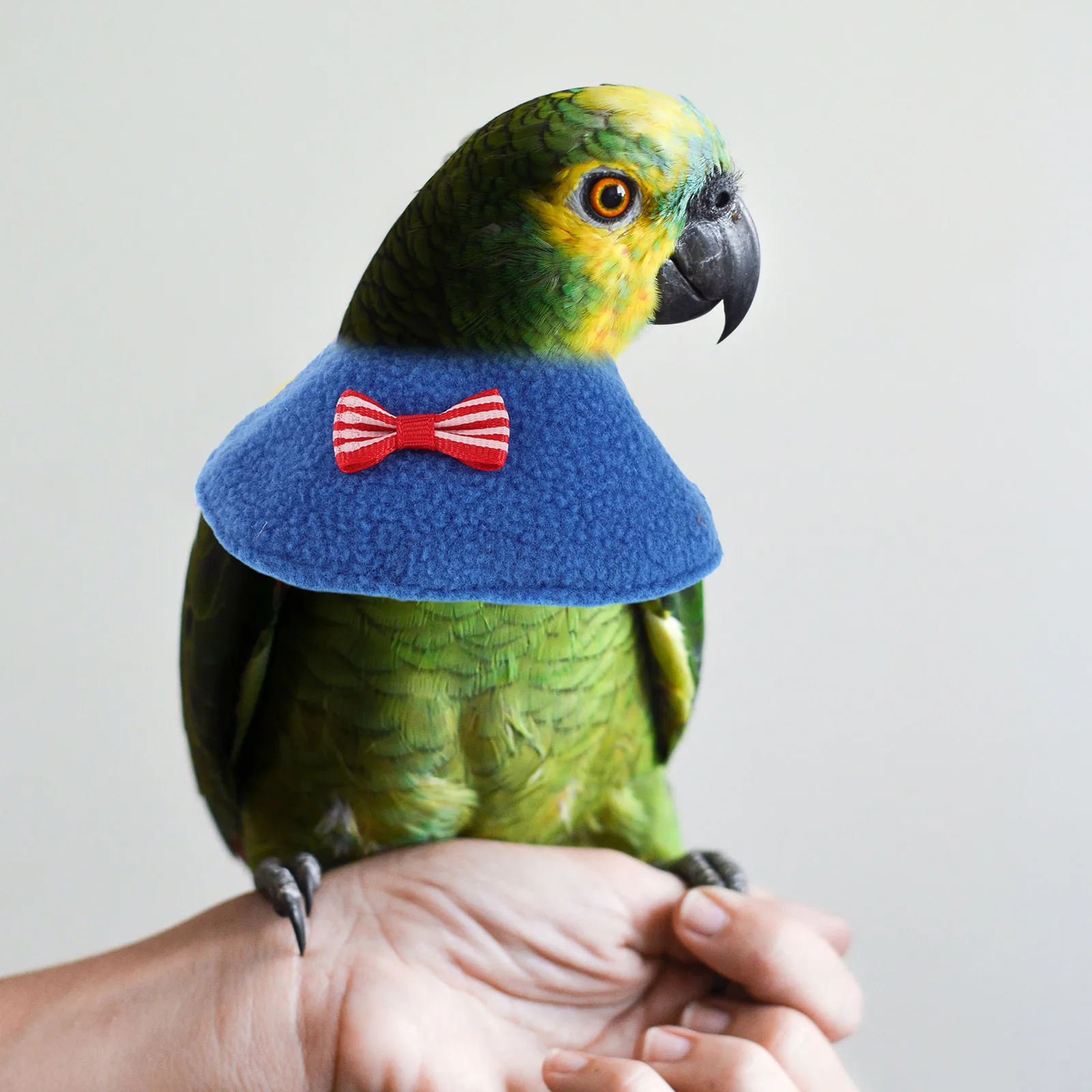 

7pcs Pet Bird Collar Protector Anti-Bite Recovery Cape For Parrots Plucking Prevention Windproof Neckwear Elizabethan Cone Full