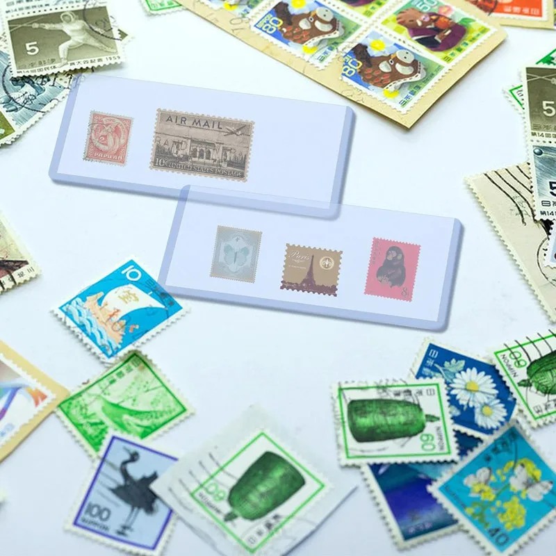 50Pcs Clear PVC Paper Money Stamp Collection Bag Paper Currency Protective Cover Supplies Two Sizes Paper Money Stamp Collection