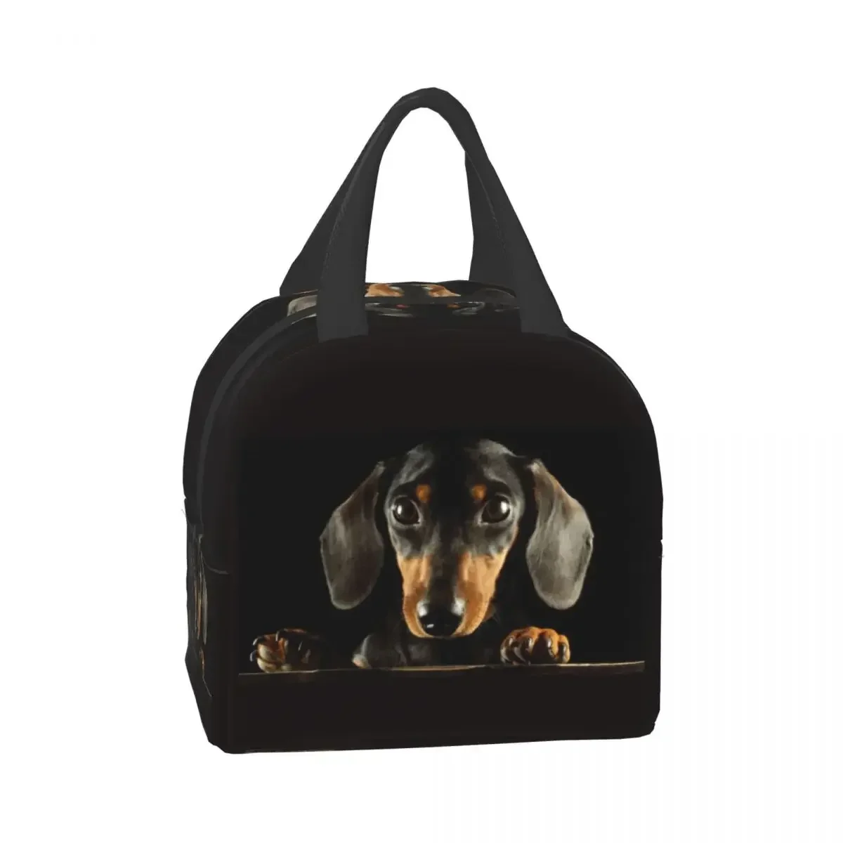 Dachshund Insulated Lunch Tote Bag Portable Thermal Cooler Food Bento Box for Work School Travel Sausage Wiener Dog Lunch Bags