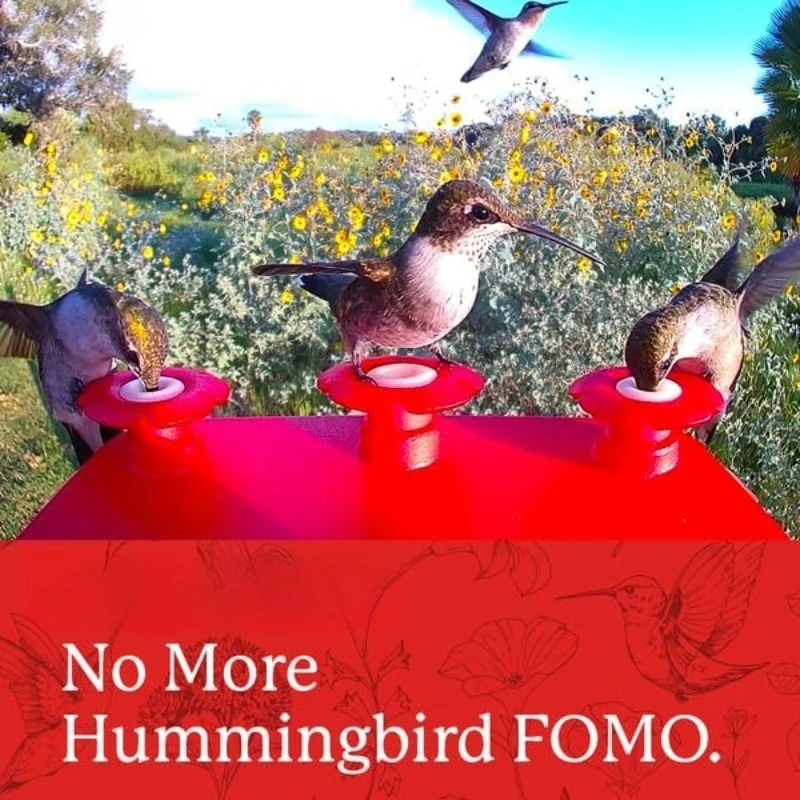 وحدة تغذية الطيور الطنانة الذكية: معرف الطيور الذاتي، واي فاي، الطاقة الشمسية، صور ومقاطع عالية الدقة مذهلة يتم إرسالها مباشرة إلى هاتفك،