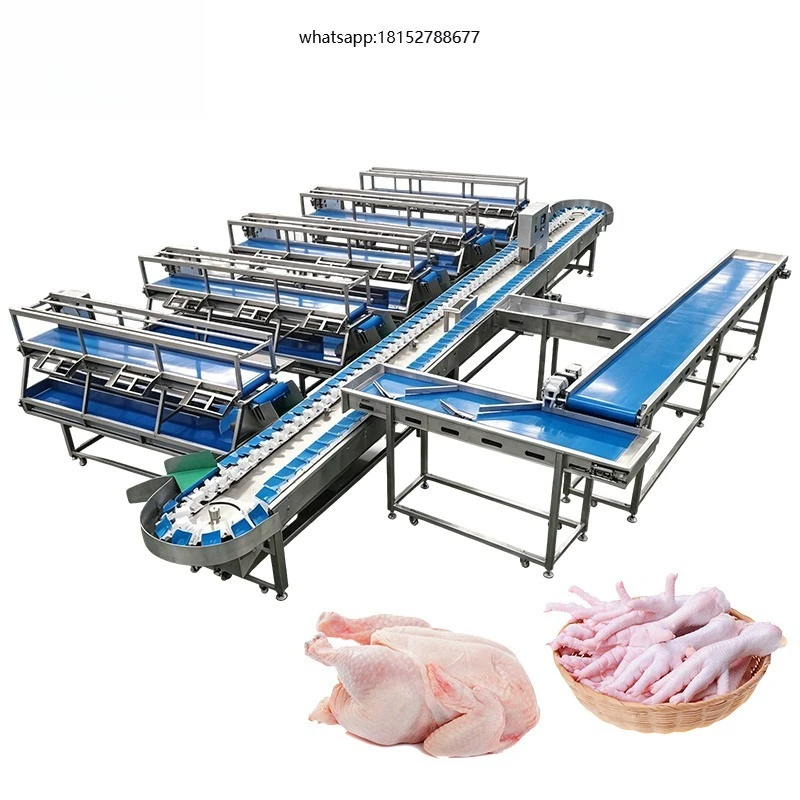 Vegetable Fruit Weight Sorting Machine for Avocado Durian Seafood Vegetable Tray Scale Weighting Grader Production