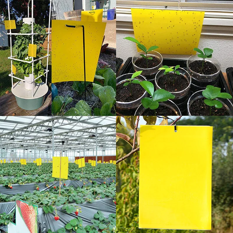 Glue Trap Catcher Sticky Boards Yellow Sticky Traps Eliminate Flies Insect Bug Garden Glue Paper Board Plant Flycatchers