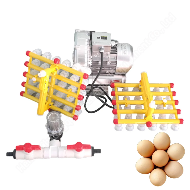 Most popular vacuum rubber egg sucker machine vacuum rubber egg sucker machine