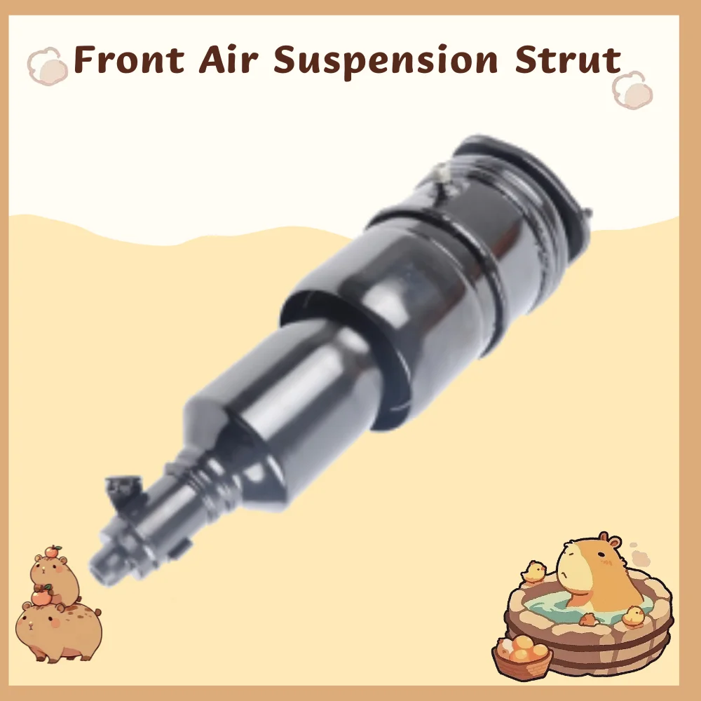 

48020-50200 48020-50153 48020-50150 48010-50200 48010-50153 Front Air Suspension Strut For Lexus LS460, USF46, USF45 (4WD) 2006