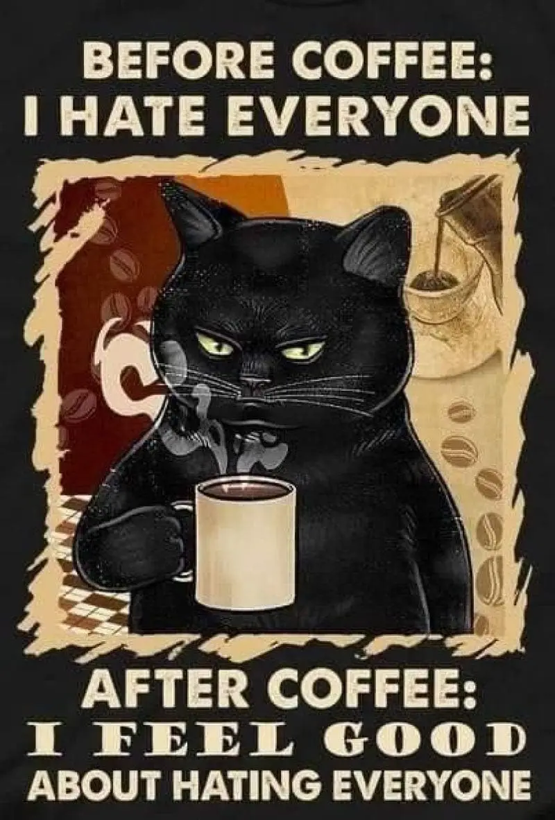 Before Coffee:I Hate Everyone After Feel Good About Hating Retro Metal Tin Sign Vintage Aluminum for Home