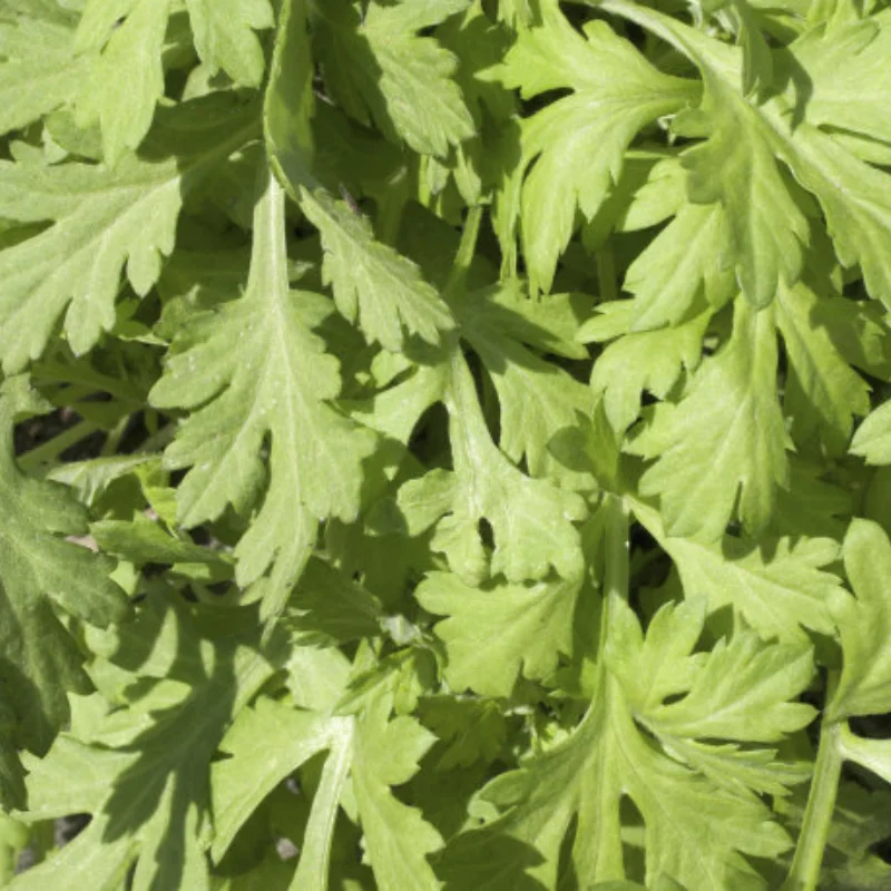 

Металлическая рамка шасси с каркасом, рама кузова радиоуправляемого автомобиля для 1/10 Axial RR10 90048/90053 RC Car DIY Rock Crawler