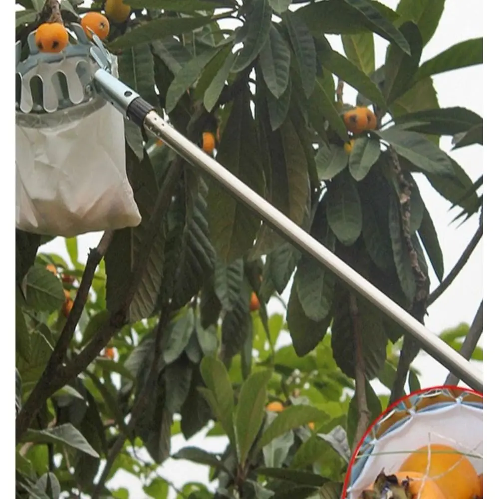 

Телескопический сборщик фруктов, регулируемая корзина 13-33 футов, металлический комбайн для различных фруктов, включая яблоки, груши, лимоны, Co