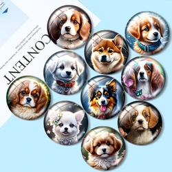 Pet cute healthy dog for Jewelry Making12mm/16mm/18mm/25mm  10pcs Round Photo Glass Cabochon Demo Flat Back Making findings