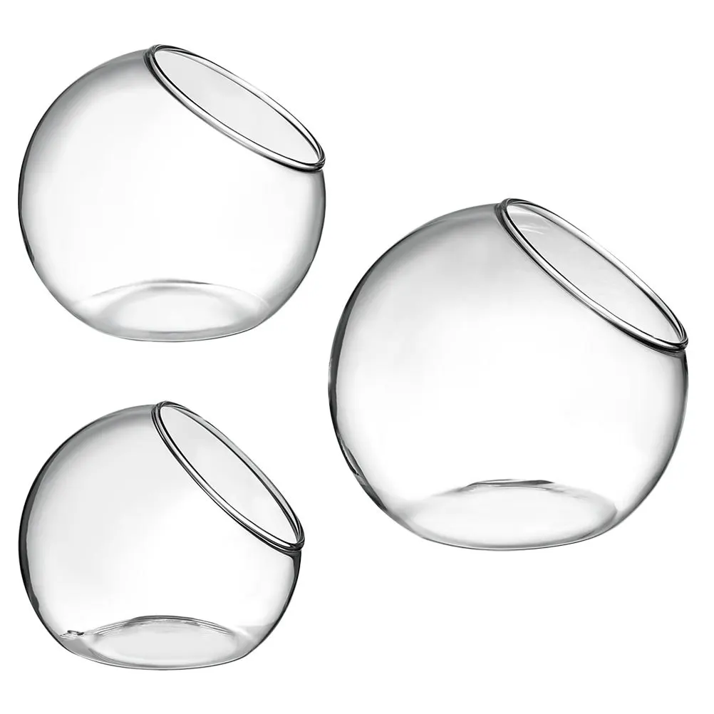 

3Pcs Water Cultivation Vase Glass Terrarium with Slant Design Smooth Surface for Mini Landscape DIY Bromeliads Ferns Decorative