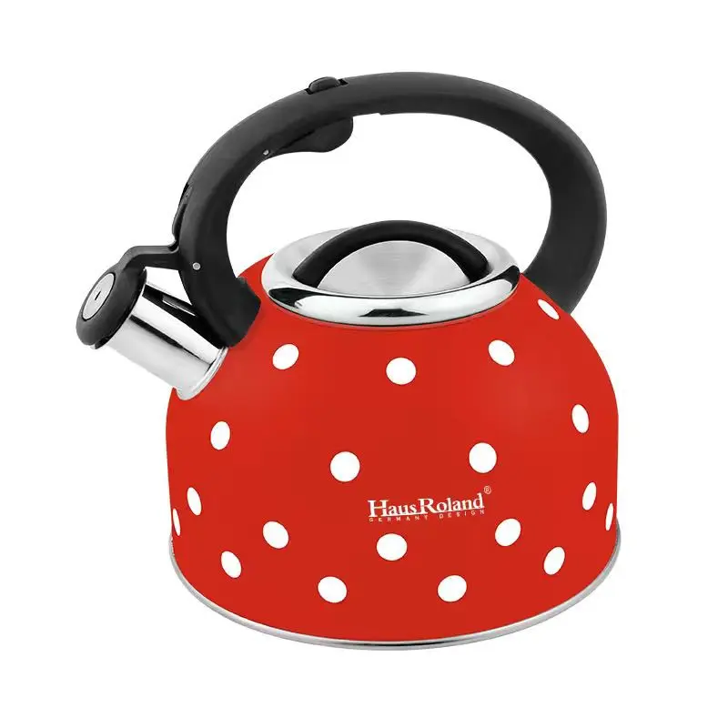 304 Stainless Steel Thickened Horn Large Capacity Gas Kettle Domestic Kettle Gas Stove Induction Cooker - view 2