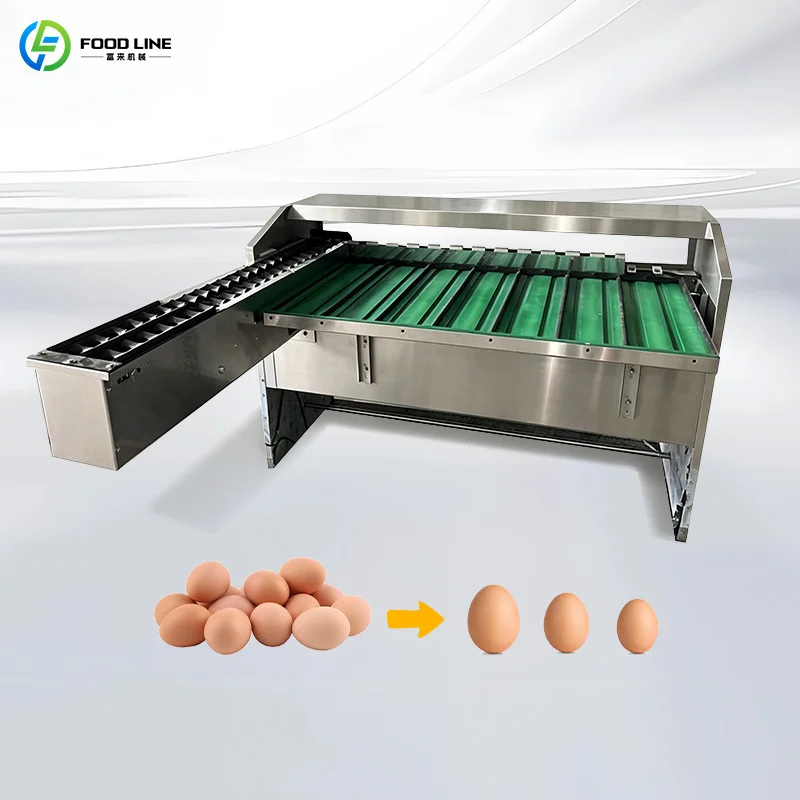 Customized High Precision Automatic Small Egg Weight Grading Sorting Machine With Conveyor Belt Commercial Poultry