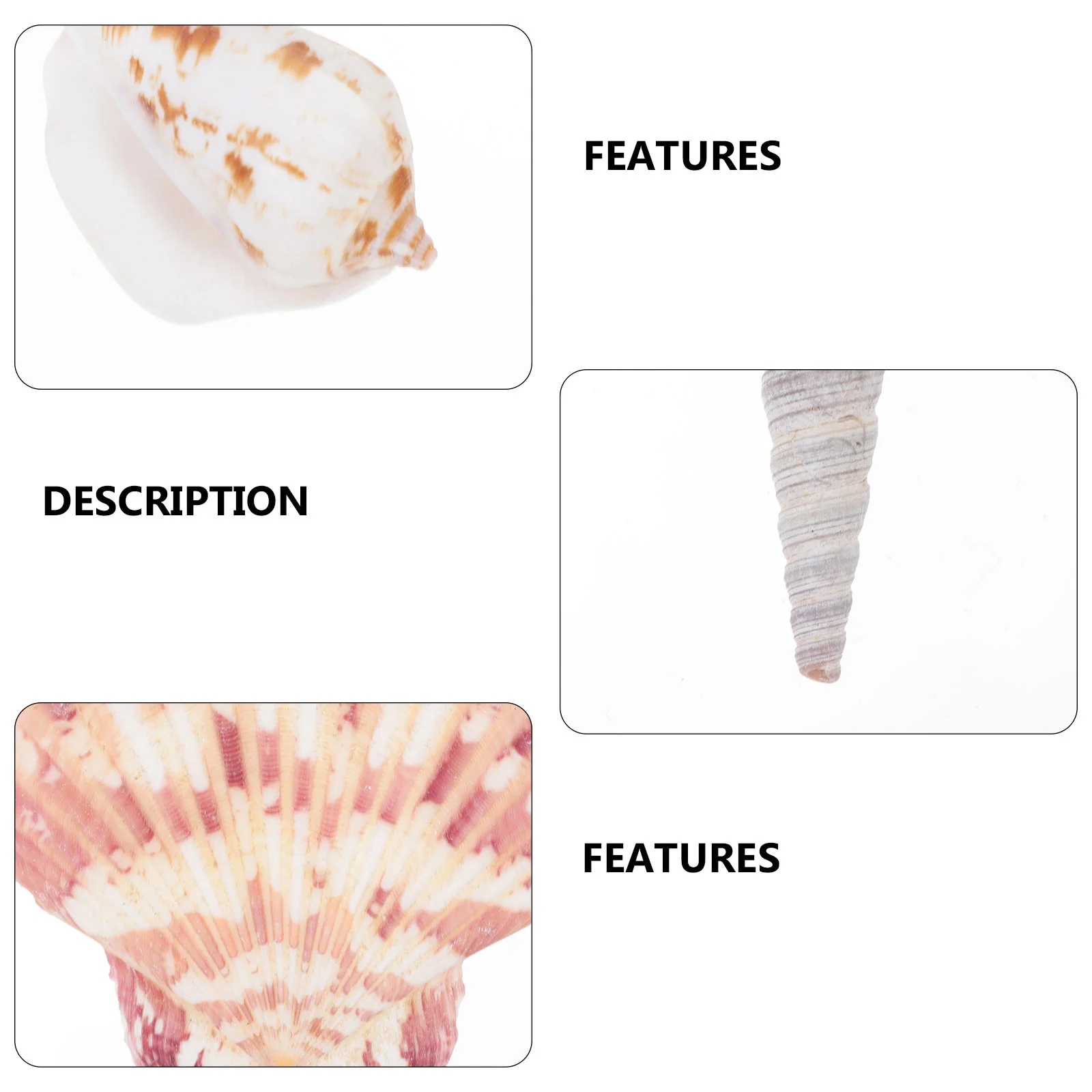 

4 Bags Shell Charms DIY Handmade Pendant Accessories Mini Delicate Hair Ropes DIY Shell Ornament Making Supplies Ocean Style