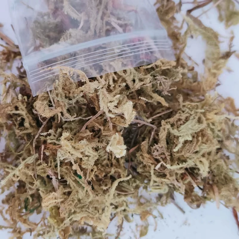 군사 풍경 장면 식물 재료 디오라마 액세서리를 만들기위한 10g 시뮬레이션 모스 잔디 클러스터 모델 키트