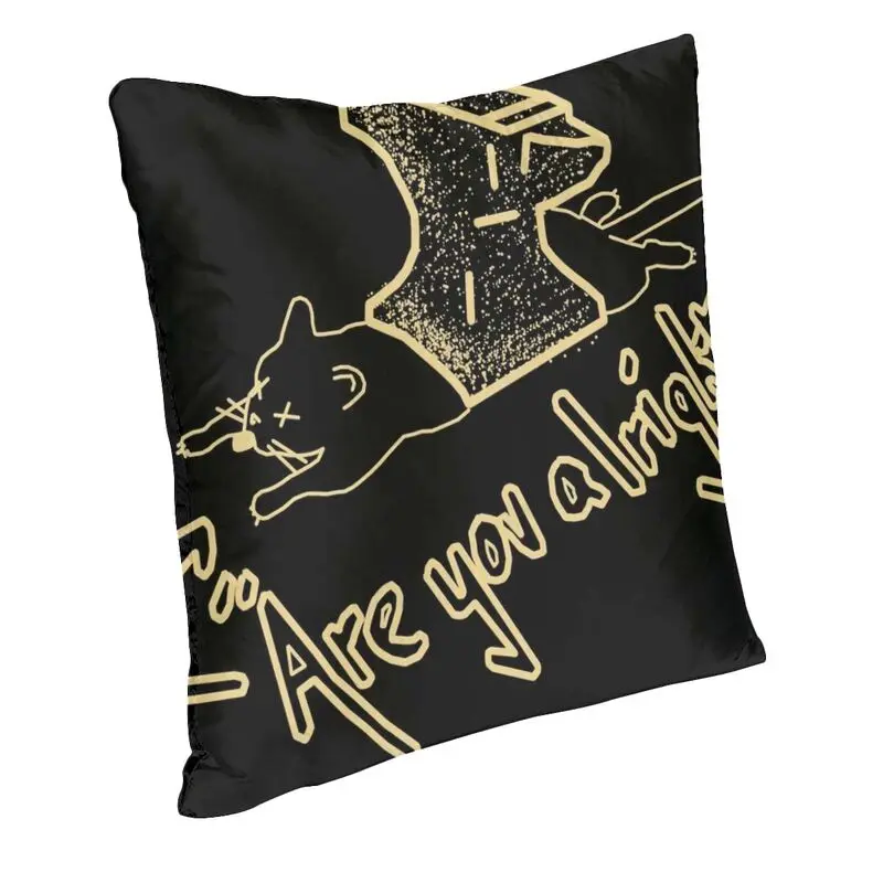 Lovejoy Antique Modern Throw Pillow Cover Bedroom Decoration Are You Alright Chair Cushion