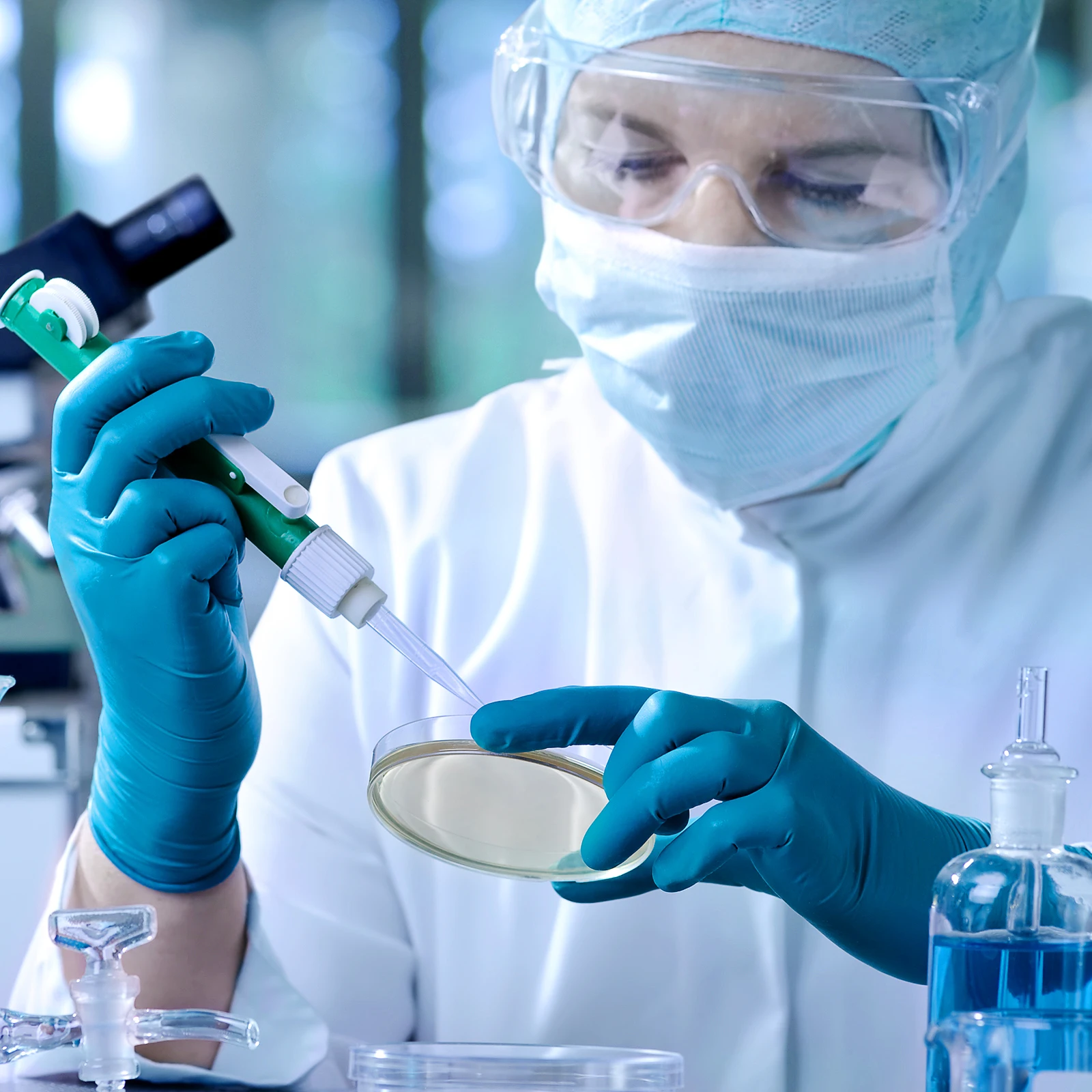 10 Pcs Nutrient Agar Plate Prepored Plates Flash Prepared Prepoured Petri Dishes Filled Dad