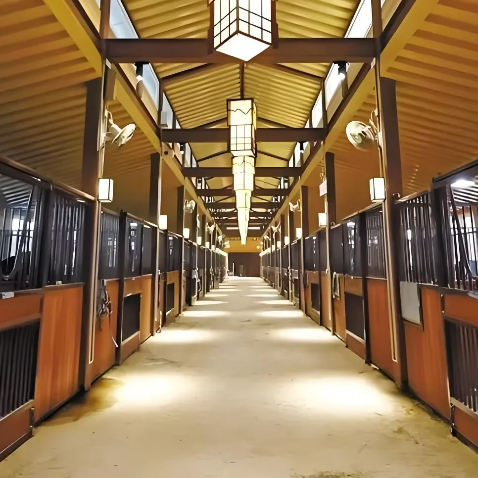 High-density pressed bamboo horse stalls well-made beautiful and atmospheric a good tool for horse care Horse Farm Sale