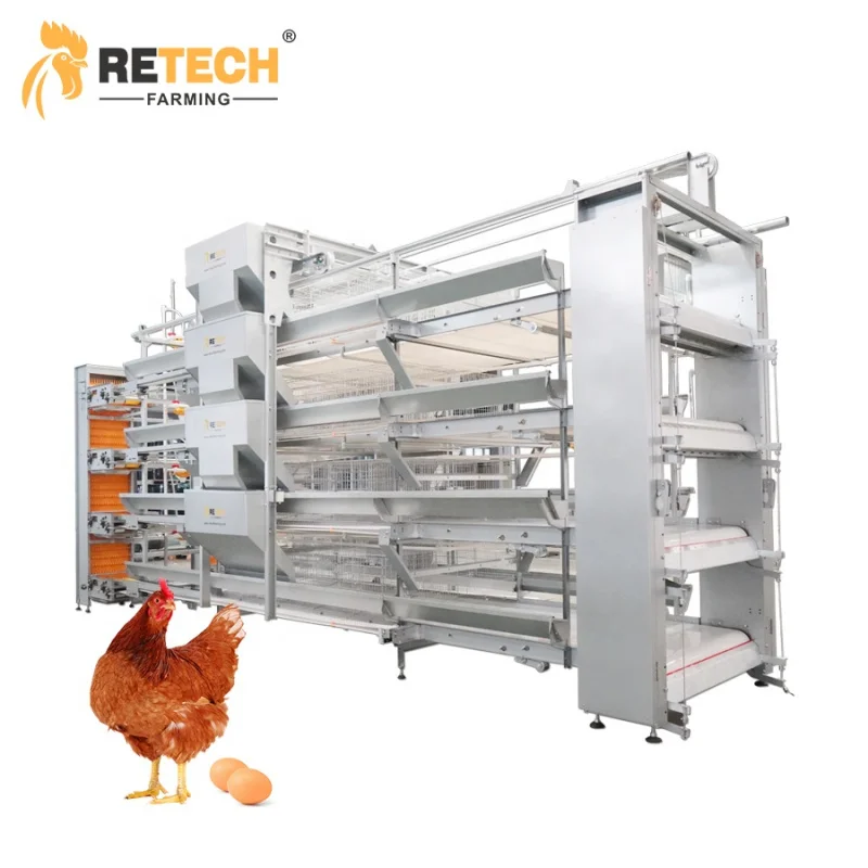 

Hot Sale Automatic H Type Chicken Battery Cages Layer Poultry Farming Equipment