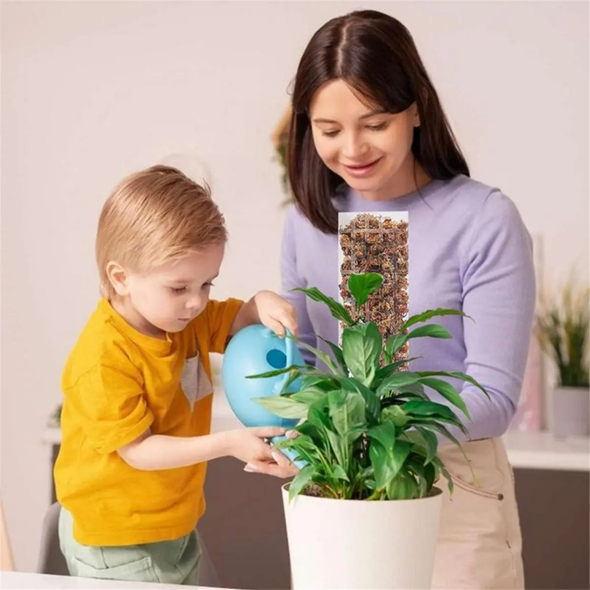 2025 New+ Plant Plastic Moss Poles for Plant Stakes and Sphagnum Moss to Support Climbing Plant Poles Turtle Back Moss Poles