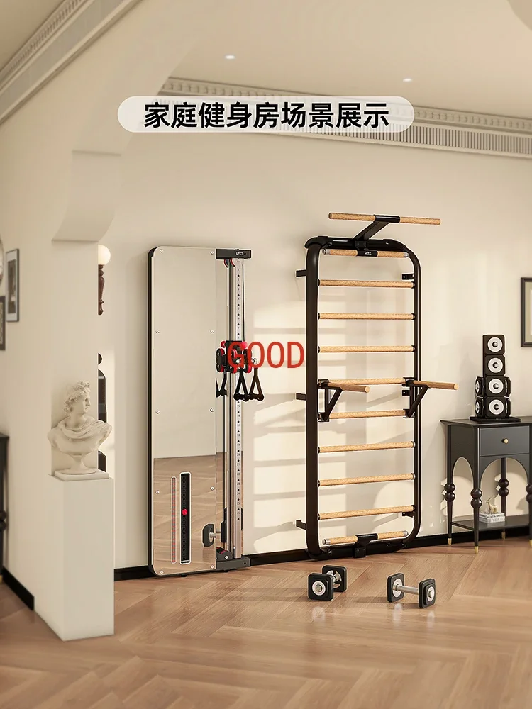 Multifunctional little bird trainer combination gantry frame