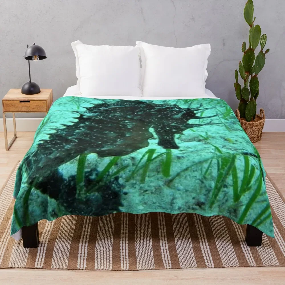 

Beautiful Ocean Seahorse Throw Blanket Cute Blankets For Sofas for sofa For Sofa Thin Blankets