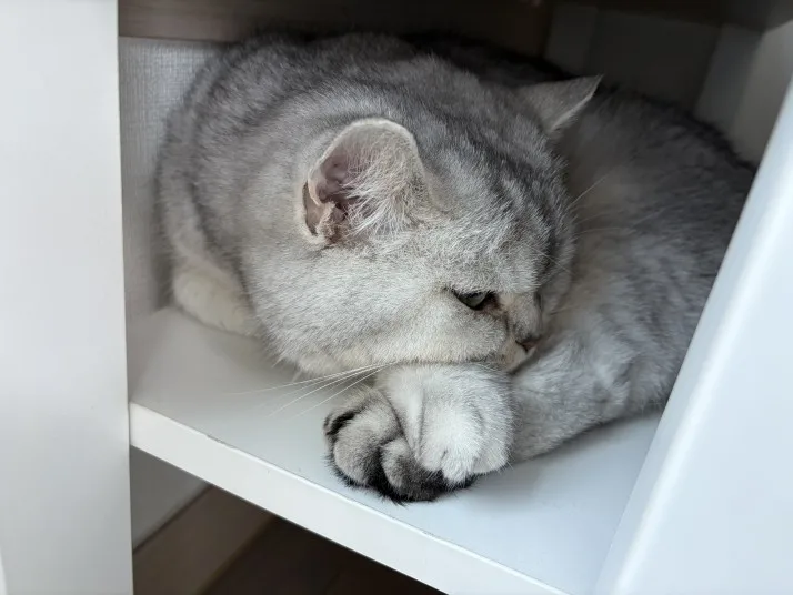 리뷰 사진
